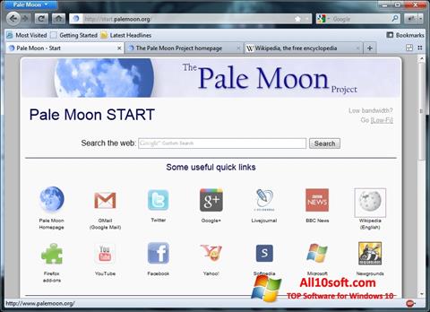 Képernyőkép Pale Moon Windows 10